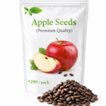 Apple Seeds
